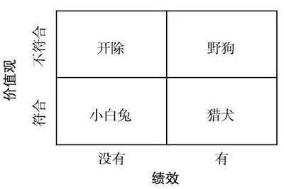 白兔员工有那么糟糕吗？被马云史玉柱嫌弃，周鸿祎也要清理了