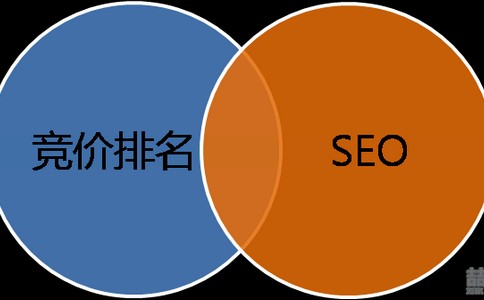 【致富途径】知道SEO有多大用途吗