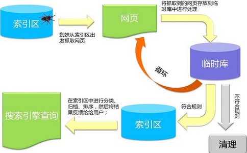 咱们总结了SEO小白是怎么生长的