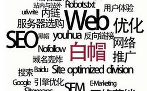 网站如何做才能更快的获得排名