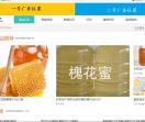 蜜蜂日记