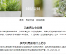 植物盆栽