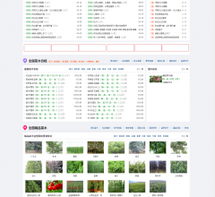 苗木网