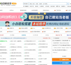 自动秒收录