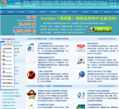 AnyView(网络警)网络监控软件