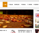 万物如是网