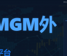 TMGM外汇交易