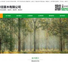绿化苗木网