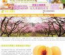 楚芈黄桃官方网站
