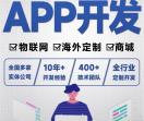 软件开发