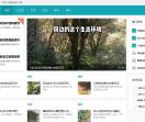 茶叶网