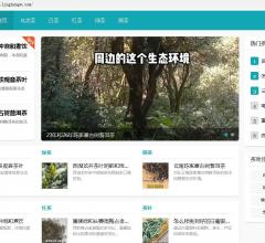 说茶网
