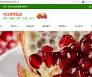 临潼石榴自销网