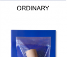 荷兰Ordinary**艺术杂志