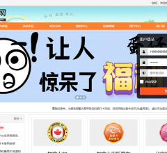 蛋仔网