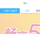 中国移动通信网