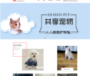 淘宠网