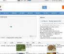 中国茶网-中国茶文化传播-茶叶