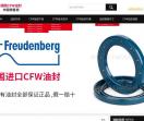 德国CFW油封