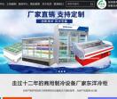 深圳市东洋电器制冷冰柜有限公司