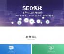seo优化