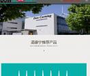 陶熙道康宁