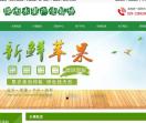 陕西水果批发网