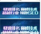 seo培训