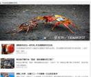 蟹百科