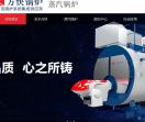 蒸汽锅炉