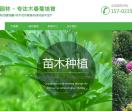 于是花卉