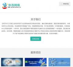武汉SEO优化