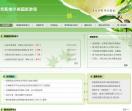 诺克斯维尔