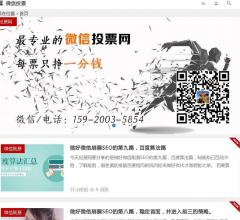 投票网
