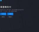夏墨微支付