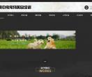 哈尔滨宠物美容师培训