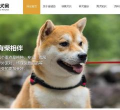 徐州金琥珀犬舍