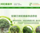 甘肃兰州苗木绿化批发，西北苗木绿化，青海苗木绿化批发