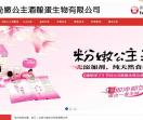 北京华奥合力科技有限