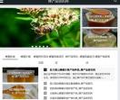 蜂产品资讯网