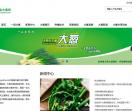 一品大葱