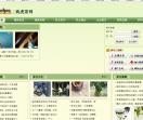21世纪茶网